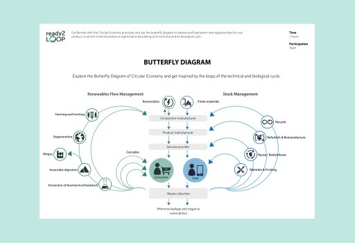 Butterfly Diagram