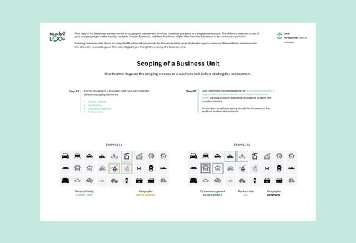 Scoping of a Business Unit