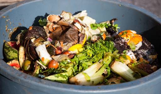 BioTrans Nordic –  from food waste to biogas