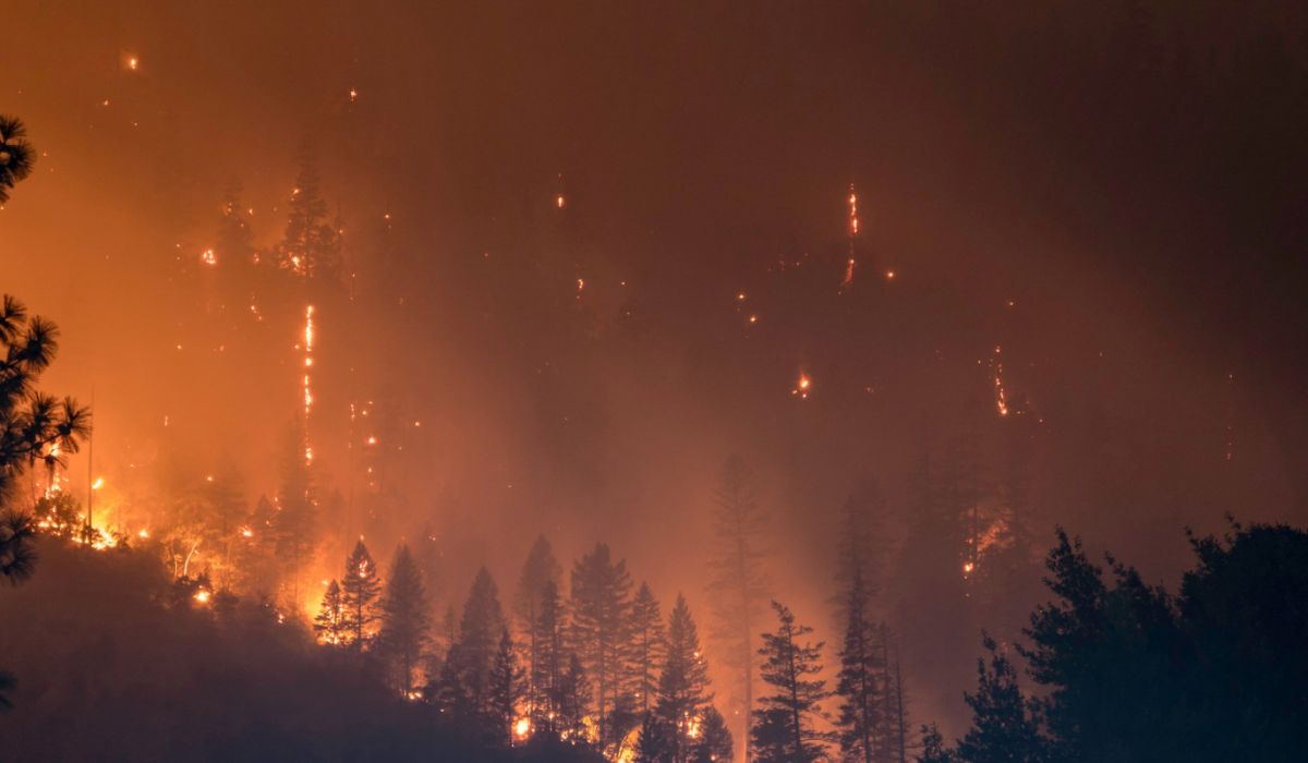 Vores nuværende adfærd forårsager kriser ift. klima, ressourceknaphed, toksicitet og biodiversitet