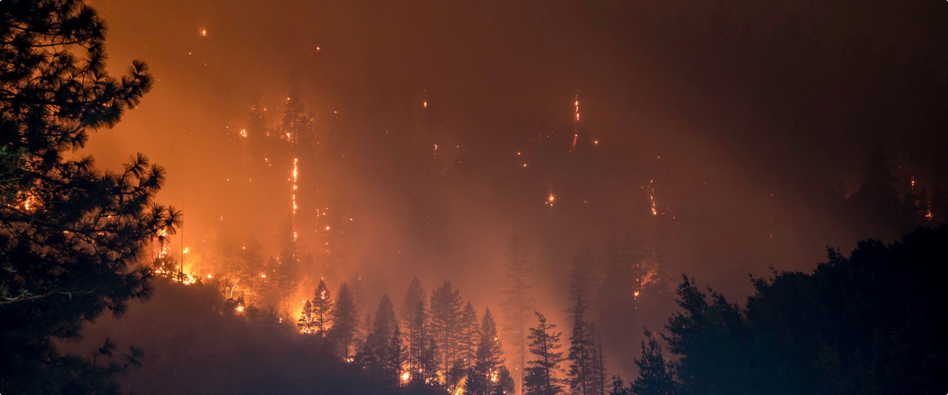 Nosso comportamento atual está causando crises climáticas, esgotamento de recursos, aumento da toxicidade e perda de biodiversidade