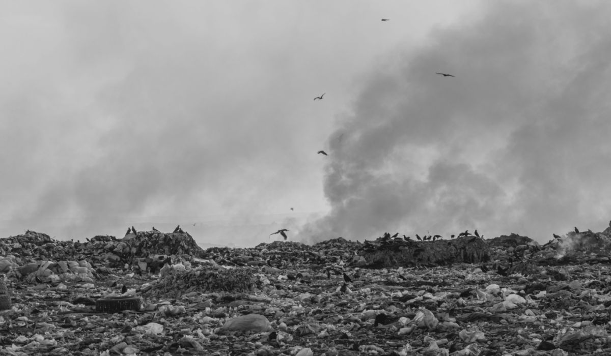 Cirkularitet kan bidrage til ca. 50% af vores CO2-reduktionsmål